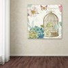 Trademark Fine Art Lisa Audit 'Rainbow Seeds Floral Birdcage III v2' Canvas Art, 24x24 WAP0425-C2424GG